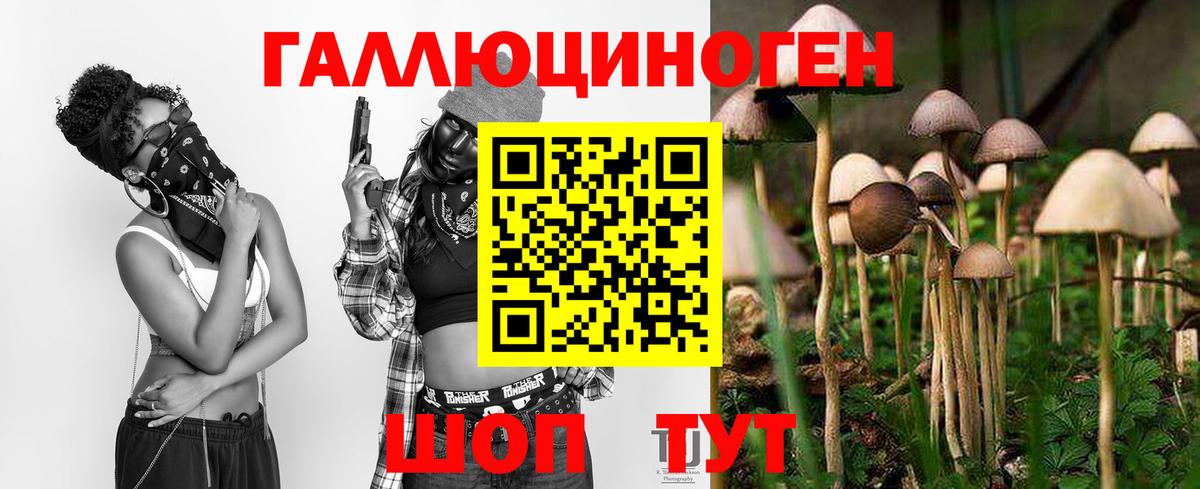 Псилоцибиновые грибы MAGIC MUSHROOMS Кузнецк
