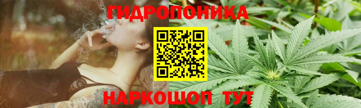 Бошки марихуана индика  Вход с VPN  Марихуана VHQ  Бошки марихуана AK-47  Конопля планчик  Кузнецк 